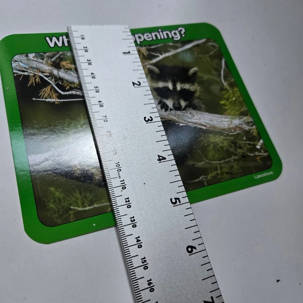 Lakeshore What's Happening? Photo Cards Kids Educational Discussion Prompts Tin